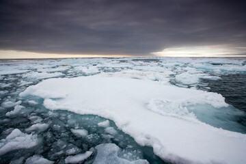 Sea Ice, Svalbard, Norway