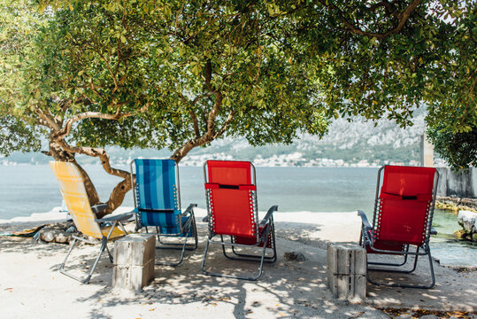 Deck chairs on the shore under the tree