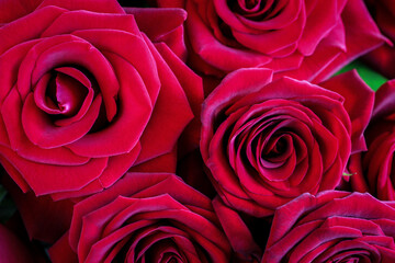 Bouquet of big red roses. Top down view. Closeup