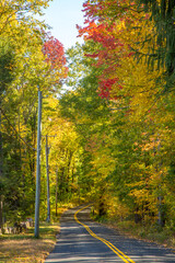 Higley Road passing throug a hardwood forest showing peak fall colors, near Enders State Forest and the village of Hartland, Connecticut.