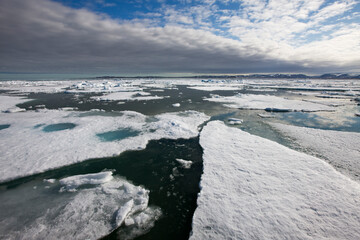 Obraz premium Sea Ice, Svalbard, Norway