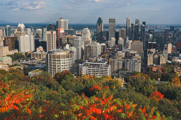 Fototapeta premium Montreal sunset with colourful leaves
