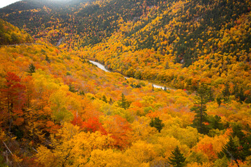 View of the White Mountain National Forest and Craford Notch Road  just west of Bartlett, New Hampshire.  Hardwood trees are showing peak fall color.
