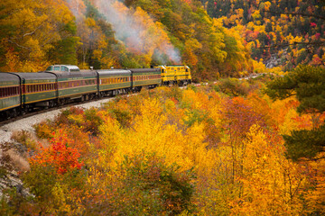 The Conway Scenic Railway train on the Crawford Notch route, just west of Bartlett, New Hampshire.  Hardwood trees are showing peak fall color in the White Mountain National Forest. - obrazy, fototapety, plakaty