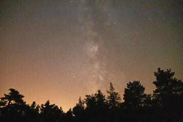 Milky Way Over the Forests