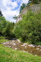 Rezarwat Biała Woda, Małe Pieniny, Potok Brysztoński  © Piotr Szpakowski