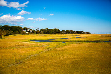 Saltgrass wetlands galong Cape Cod Bay near Sandwich, Massachusetts