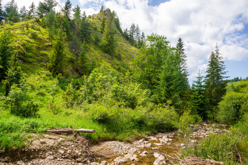 Rezarwat Biała Woda, Małe Pieniny, Potok Brysztoński  © Piotr Szpakowski