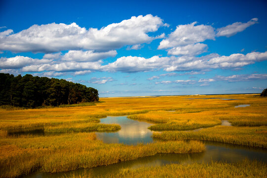 Saltgrass Wetlands Galong Cape Cod Bay Near Sandwich, Massachusetts