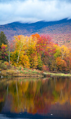 A hardwood forest at peak fall color reflects in Shadow Lake, north of Lincoln, New Hampshire, White Mountain National Forest.