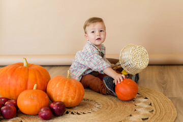 Fototapeta premium A little kid sits among pumpkins in the studio to celebrate thanksgiving day