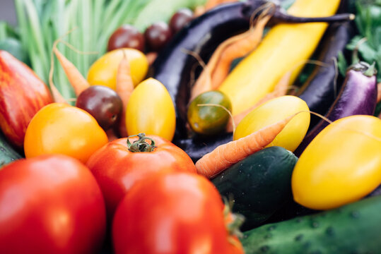 a variety of fresh vegetables