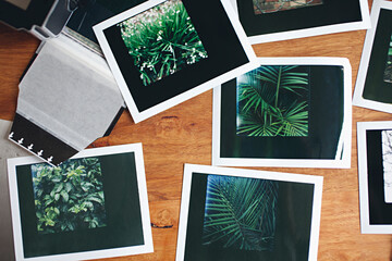 instant peel apart / polaroid film prints of trees on a wooden table top