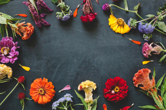colorful flowers surrounding a chalkboard background