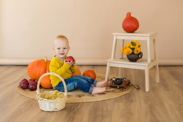 Fototapeta premium A little boy sits among pumpkins with a basket of ducklings