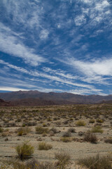 Desolated landscape. Panorama view of the arid desert, sand, vegetation and mountains under a beautiful blue sky with clouds.