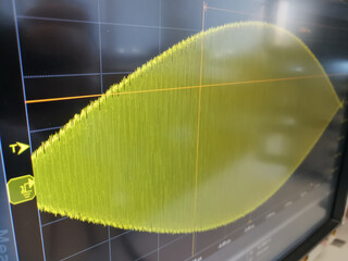 AM signal in the sceen of oscilloscope