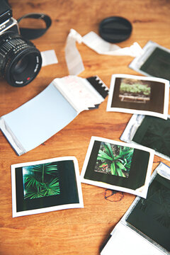 Table top view of retro style polaroid instant film prints from the garden.