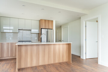 Modern, bright, clean empty kitchen interior with stainless steel appliances in a luxury house.