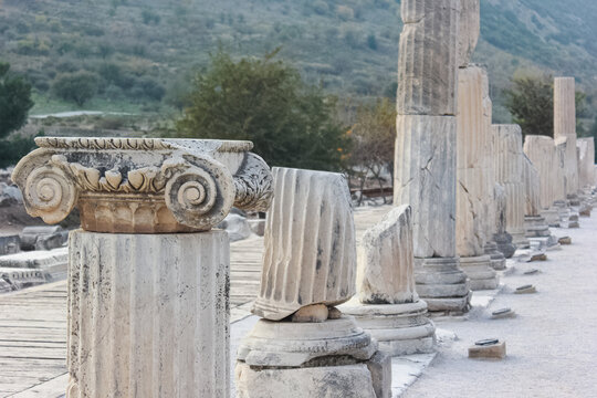 Celsus Library