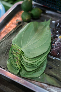 Betel leaves