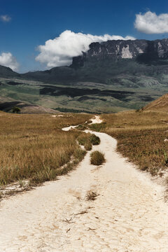 View from way to Roraima - Venezuela, South America