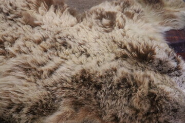 animal skin in room on chair