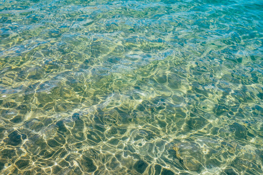 Clear waters of Lake Tahoe
