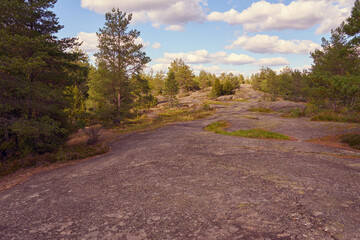 Forest in mountains under blue sky with white clouds.