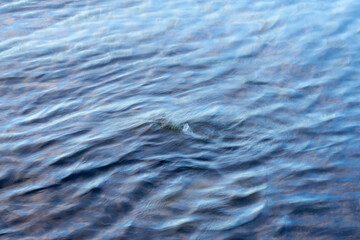 Blurred waving water surface as a natural background.