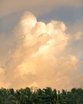 Beautiful cloud formation over a palm trees