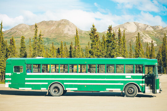 A Green Tour Bus Parked In Front Of A Row Of Forest Trees