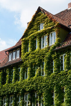 Green facade