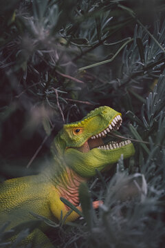 Dangerous T-Rex in the garden