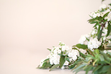 White flowers forming border on one corner with blank background for copy space