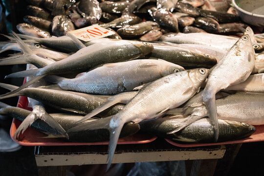 Fresh fish being sold at the public market