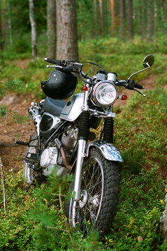 Motorcycle in the forest