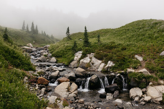 Edith Creek