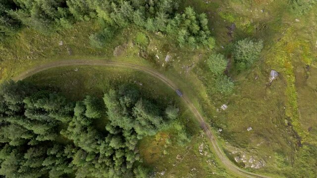 ATV All Terrain Vehicle Driving Through a Forest