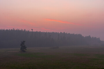 Fototapeta premium Smoke from Oregon wildfires creates unhealthy air quality in Washington