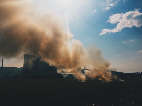 hay smoke