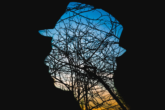 Silhouette of a man and trees at sunset