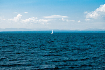 sailboat on the sea