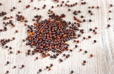 Brassica nigra - Organic black mustard grains