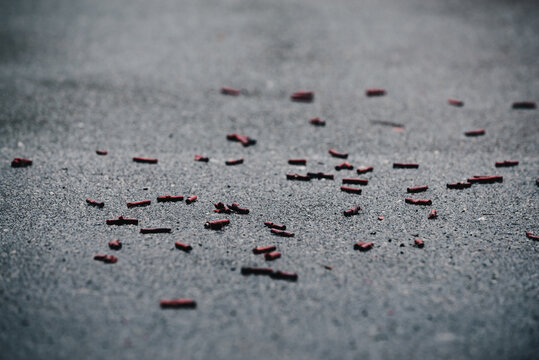 Firecracker rubbish