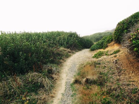 Beautiful Pathway