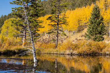 Autumn on Anne-Marie Falls Trail