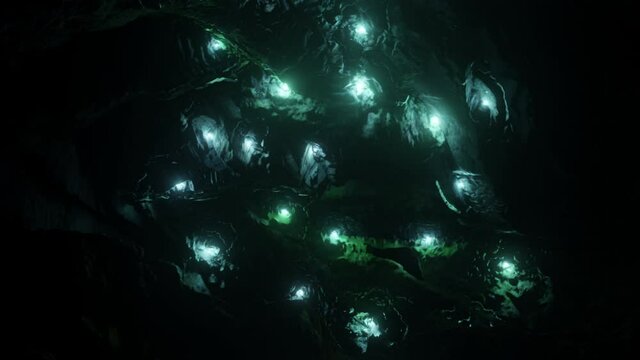 Waitomo Glowworm Caves, Waikato, in pristine secret cave in New Zealand.