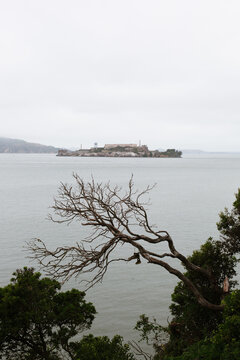 View of the island of Alcatraz in San Francisco