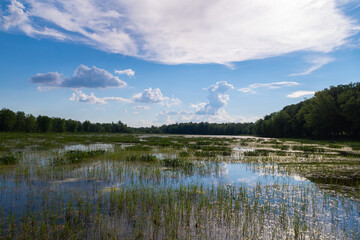 View of a marsh, in the Plaisance national park, Quebec
